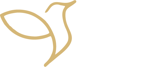 Estética Paloma Pereira